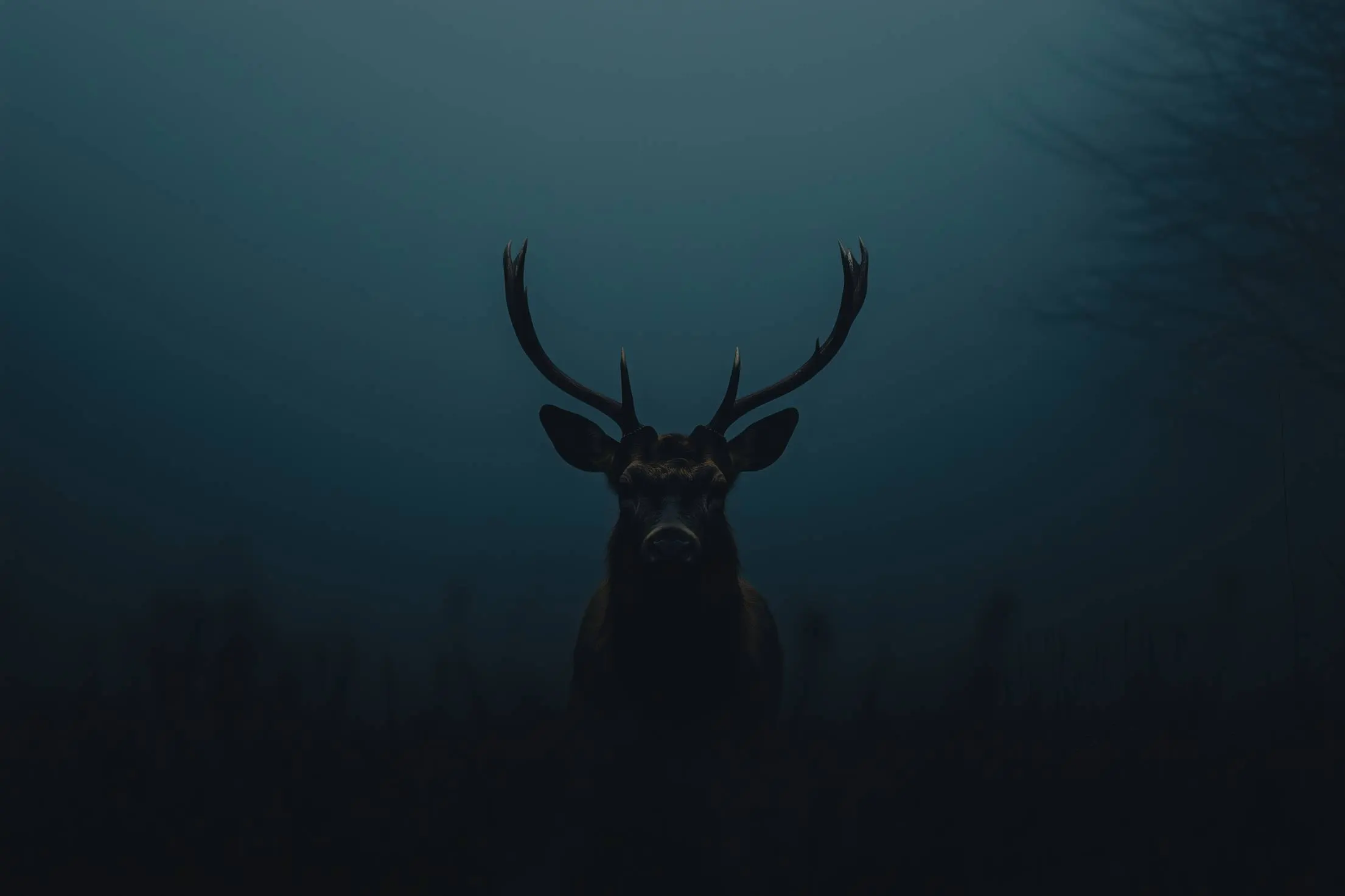  Experience DriveMond: Your First Test Ride Awaits